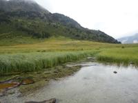 schöne Landschaft bei Refugi Estany del Siscaro 