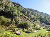 Botanischer Garten im Vall de Sorteny