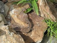 Wanderung - Sorteny Park