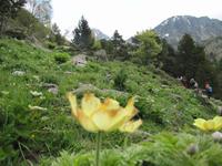 Wanderung - Sorteny Park