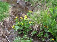 Wanderung - Sorteny Park