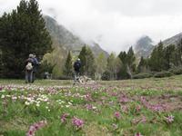 Wanderung - Sorteny Park