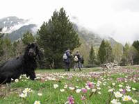 Wanderung - Sorteny Park