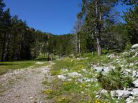 auf dem Weg zu den Pessons Seen