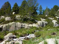 Wanderung zu den Pesson-Seen