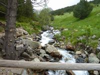 und rauschende Gebirgsbäche