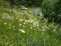 Blick auf unser Tagesziel.. die Romanische Kirche von Canillo
