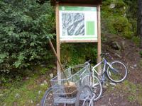 Tag 5 - Wanderung in das Madriu Tal..  hier wird der Wald noch gefegt