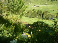 Blick hinunter zur Schutzhütte