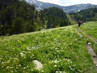 blühende Wiesen soweit das Auge reicht.. 