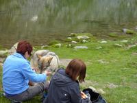 auch der Wolf hat Hunger