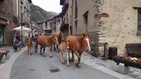 Bergdorf Ordino