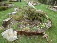 Botanischer Garten