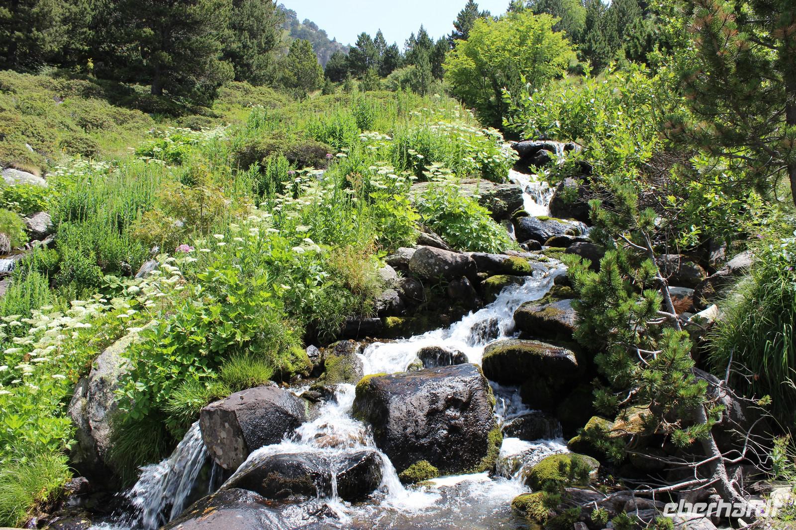 Flusslandschaft