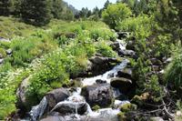 Flusslandschaft