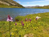 Gipfelbesteigung in Sorteny Naturpark zum Gipfel Pic de l’Estanyó