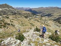 Grau Roig