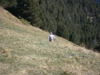 Herr Weißkopf
