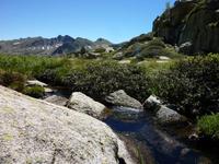 Pesson-Impressionen