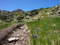 Pesson-Impressionen