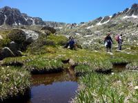 Pesson-Impressionen