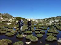 Pesson-Impressionen