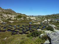 Pesson-Impressionen
