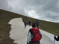 Schneefelder