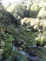 Vall de Sorteny