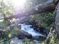 Vall de Sorteny