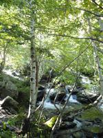 Vall de Sorteny