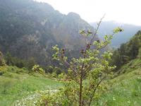 Vall del Riu