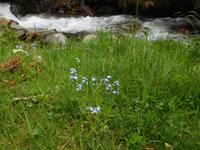 Vall del Riu