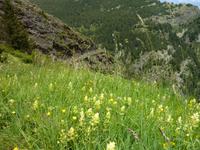 Vall del Riu