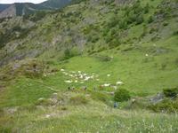 Vall del Riu