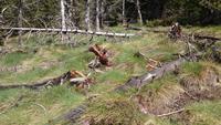 Wanderung - Vall d´Incles