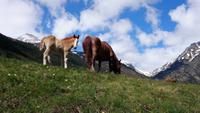 Wanderung - Vall d´Incles