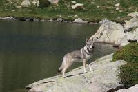 Wanderung Grau Roig entlang der malerischen 15 Bergseen