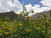 Wanderung im  Naturpark Comapedrosa zur gleichnamigen Schutzhütte