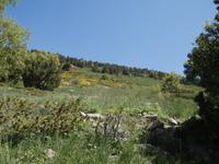 Wanderung im Sorteny Nationalpark