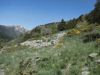 Wanderung im Sorteny Nationalpark