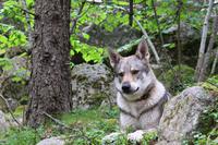 Wanderung im UNESCO-Weltnaturerbe Gletschertal von Madriu