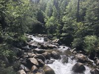 Wildbach
