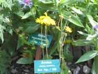 im Botanischen Garten