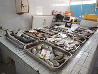 Doha - Hafenort Al Khor