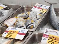 Doha - Hafenort Al Khor