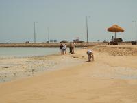 Doha - Nationalpark Al Thakira