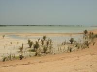 Doha - Nationalpark Al Thakira