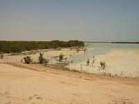 Doha - Nationalpark Al Thakira