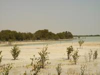 Doha - Nationalpark Al Thakira